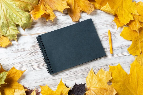 Spiral black notepad and pen lies on vintage wooden desk with bright autumn foliage. Business and education. Flat lay with autumn leaves on white wooden surface. Blank notepaper with copy space.