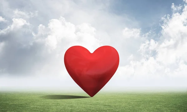Nagy Piros Szív Zöld Mezőben Szeretet Gyengédség Valentin Nyaralás Szerelmes — Stock Fotó