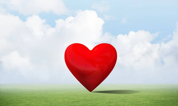 Большое Красное Сердце Зеленом Поле Любовь Нежность Валентинки Праздник Влюбляться — стоковое фото