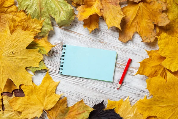 Spiralny Notatnik Długopis Leżą Drewnianym Biurku Jasnymi Jesiennymi Liśćmi Koncepcja — Zdjęcie stockowe