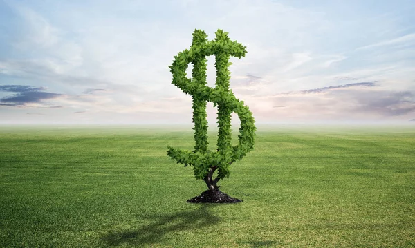 Dolar Işareti Şeklinde Yeşil Bitki Yeşil Alanda Yetişir Yaz Çayır — Stok fotoğraf