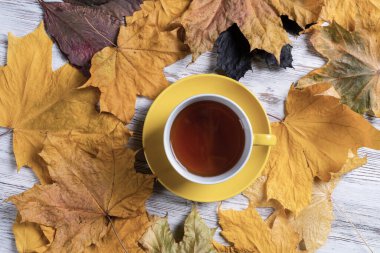Düz sonbahar kompozisyonu, bir fincan siyah çay ve sarı sonbahar yapraklarıyla yatıyordu. Çay molası zamanı. Sıcak içecek, parlak yapraklı eski ahşap masanın üzerinde yatıyor. Sabahki çay seremonisi hayatı.