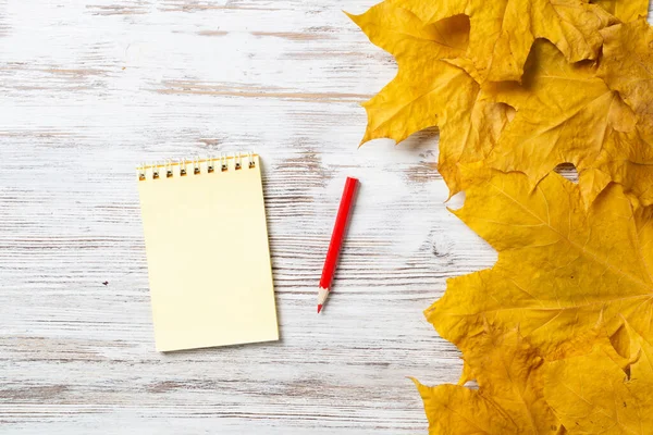 Spiralny Notatnik Długopis Leżą Drewnianym Biurku Jasnymi Jesiennymi Liśćmi Koncepcja — Zdjęcie stockowe