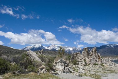 Tüf sütunları Güney tüf Mono Gölü, Kaliforniya