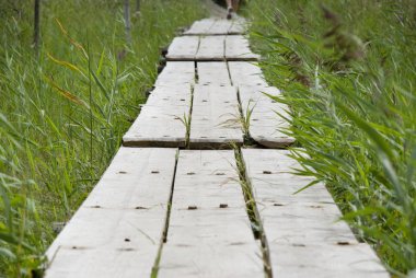 reed ile ahşap yolu