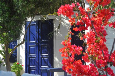 tipik Yunan - kırmızı begonviller ve Beyaz Saray ile mavi kapı ve pencere eşiği, Mykonos