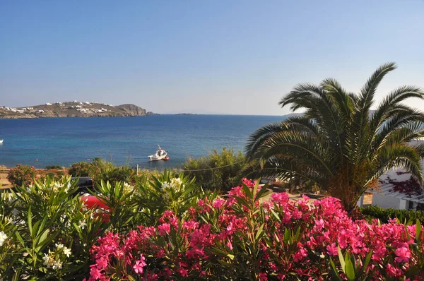 Výhled Přes Záliv Řecký Ostrov Mykonos — Stock fotografie