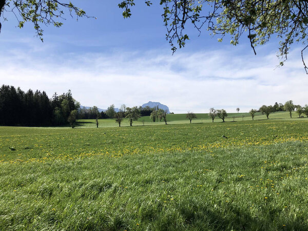Beautiful landscape and nature in spring at Salzkammergut in Upper Austria with fresh green meadows and fields