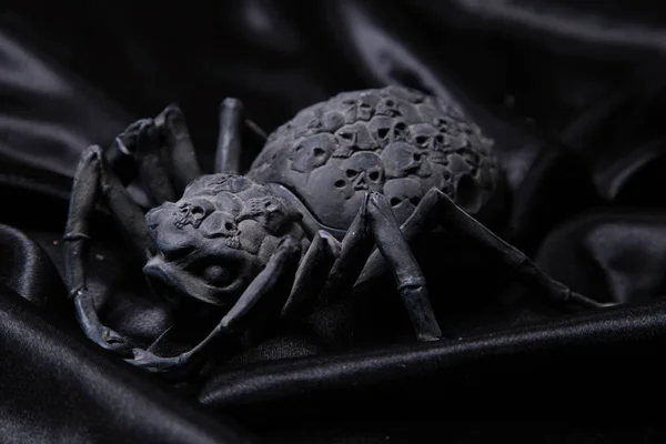 Mrtvé Scarygirl lebky Spider — Stock fotografie