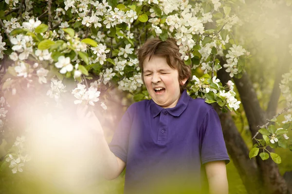 Alergia estornudar niño en el jardín de manzanos con flores blancas — Foto de Stock