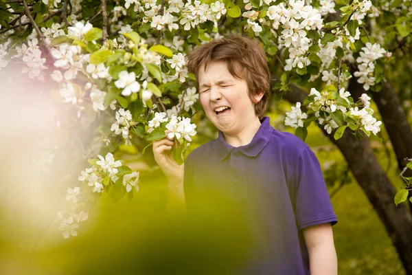 Allergie niezen kind jongen in het apple bomen-tuin met witte bloemen — Stockfoto