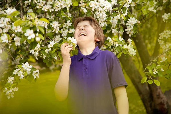 Allergie niezen kind jongen in het apple bomen-tuin met witte bloemen — Stockfoto