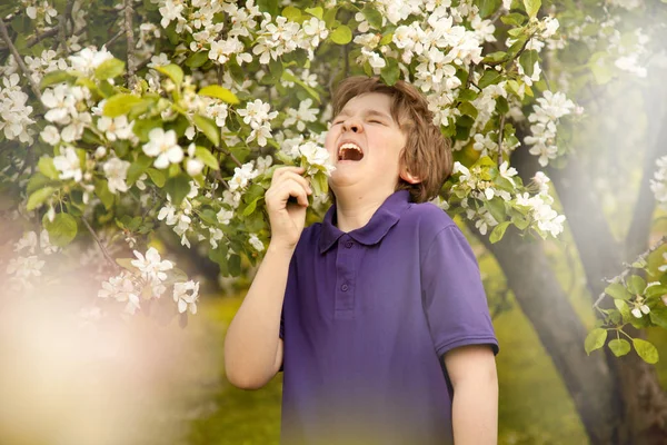 Alergia estornudar niño en el jardín de manzanos con flores blancas — Foto de Stock