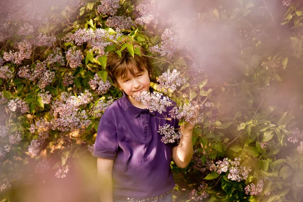 Allergie éternuer enfant garçon dans le jardin d'arbres lilas avec des fleurs violettes — Photo