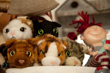 kedi peluş komik oyuncaklar