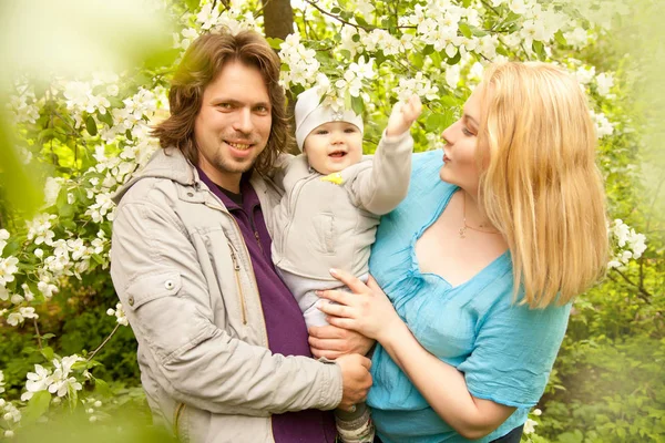 Família feliz mãe pai criança perto de árvore de maçã com flores brancas no jardim — Fotografia de Stock