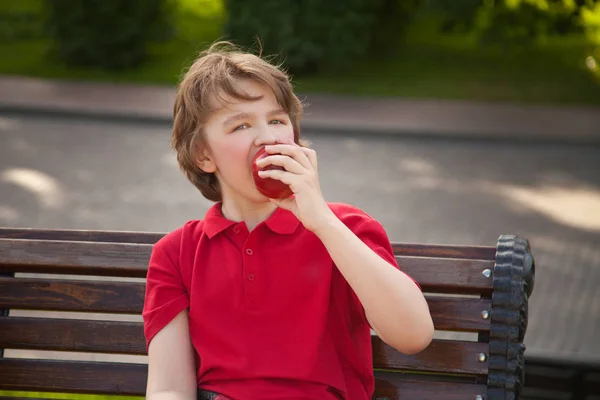 Χαρούμενο παιδί αγόρι με μεγάλο κόκκινο μήλο εξωτερική διασκέδαση — Φωτογραφία Αρχείου