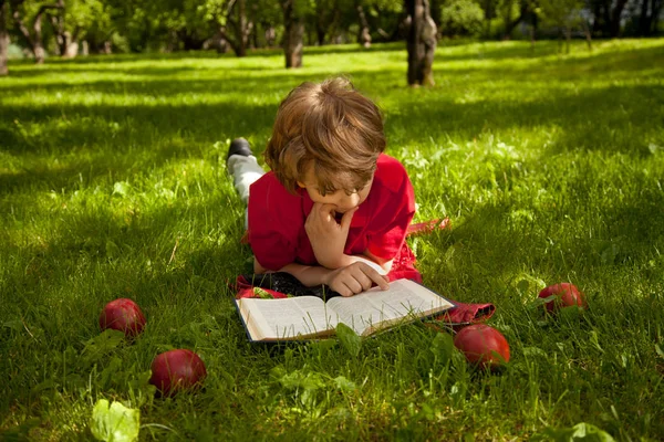 Adolescente chico leyendo un libro en el verde verano manzanos parque — Foto de Stock