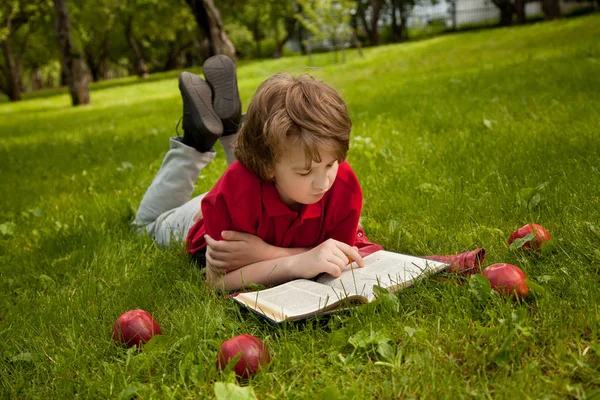 Хлопчик читає книгу в зеленому літньому парку яблунь — стокове фото