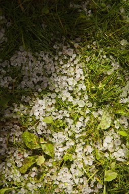 anomali soğuk yaz aylarında Selam olsun