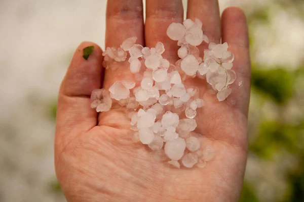 Granizo frio anomalia no verão — Fotografia de Stock