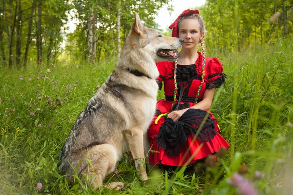 Hübsches Mädchen in rotem Kleid sitzt mit dem Hund Wolf auf dem Gras im Wald — Stockfoto