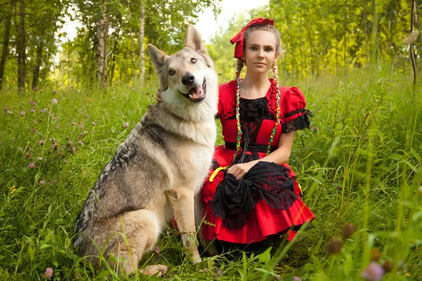 Menina bonita tecendo vestido vermelho sentado com o lobo do cão na grama na floresta — Fotografia de Stock