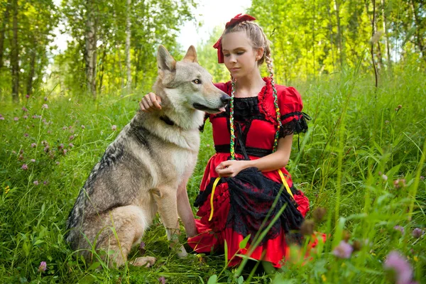 Hübsches Mädchen in rotem Kleid sitzt mit dem Hund Wolf auf dem Gras im Wald — Stockfoto