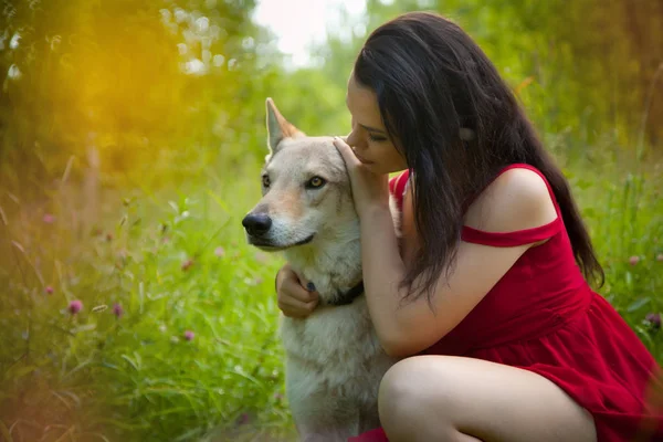 Mooi meisje weaing rode jurk zitten met de hond wolf op het gras in het bos — Stockfoto