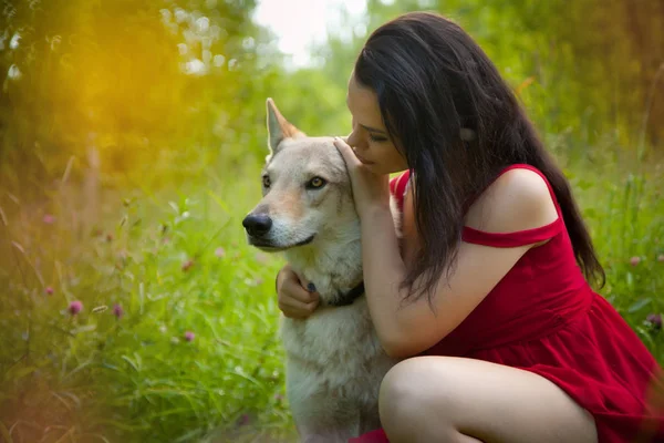 Hezká holka weaing červené šaty sedí s vlkem psa na trávě v lese — Stock fotografie