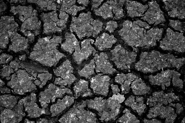 сухой мертвый грунт с видом сверху на ноги
