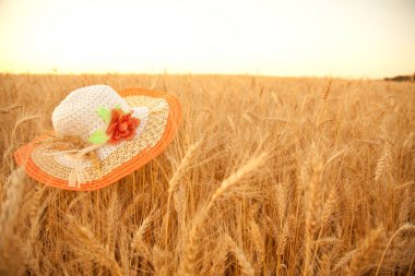 Sunset akşam altın buğday alan beyaz hasır şapka ile