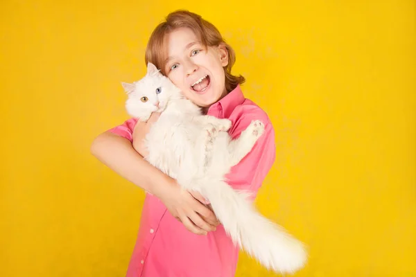 Счастливый улыбающийся мальчик в розовой рубашке с домашней кошкой на желтом фоне — стоковое фото