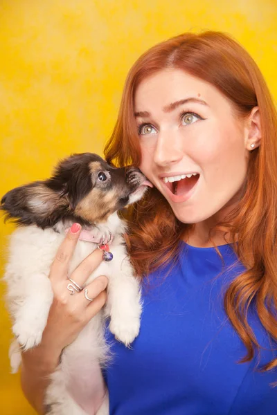 Bella dai capelli rossi giovane donna in piedi con piccolo cucciolo di cane carino su sfondo giallo studio — Foto Stock