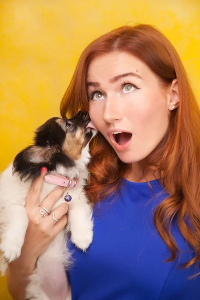 Bella dai capelli rossi giovane donna in piedi con piccolo cucciolo di cane carino su sfondo giallo studio — Foto Stock