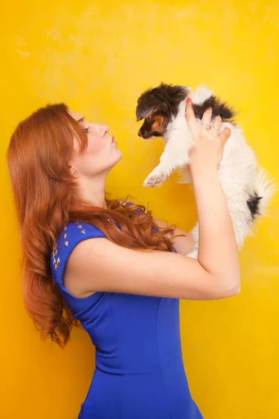 Красивая рыжеволосая молодая женщина, стоящая с маленькой милой собачкой щенок на желтом фоне студии — стоковое фото