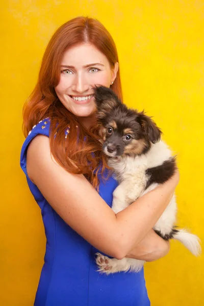 Belle jeune femme rousse debout avec petit chiot chien mignon sur fond de studio jaune — Photo