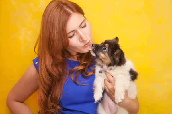 Belle jeune femme rousse debout avec petit chiot chien mignon sur fond de studio jaune — Photo