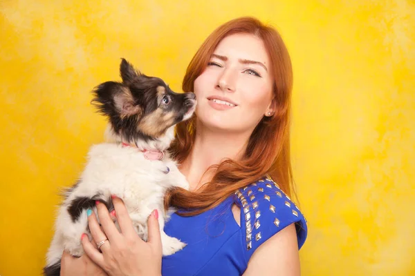 Sarı stüdyo arka plan üzerinde köpek sevimli köpek yavrusu ile duran güzel redhaired genç kadın