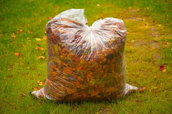 Autumn cleaning in the park — Stock Photo, Image