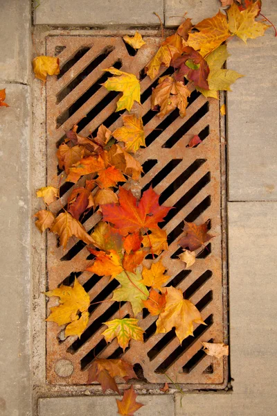 Autumn cleaning in the park — Stock Image Autumn cleaning in the park Royalty Free Stock Photos