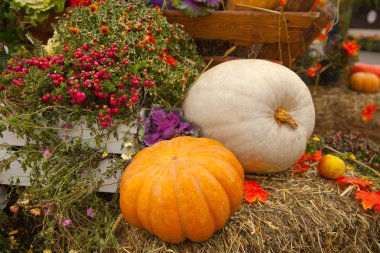 taze sebze açık düşmek