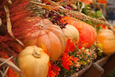 taze sebze açık düşmek