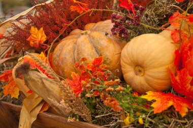 taze sebze açık düşmek