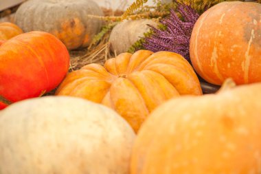 taze sebze açık düşmek