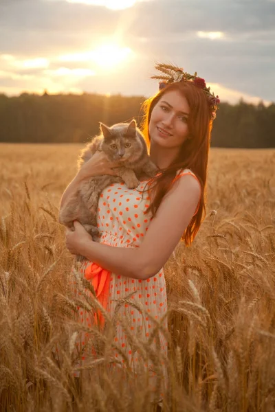Όμορφη νεαρή αγρόκτημα κορίτσι με την γάτα στέκεται στο πεδίο σιτάρι νωρίς το πρωί — Φωτογραφία Αρχείου
