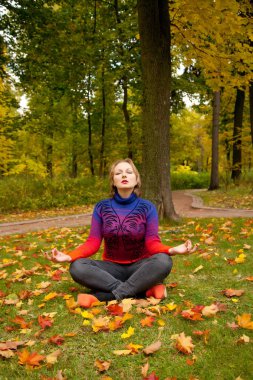 Sıcak Sonbahar lotus meditasyon poz sarı sonbahar parkta yere kazak tek başına oturmak giyen genç ve güzel kadın