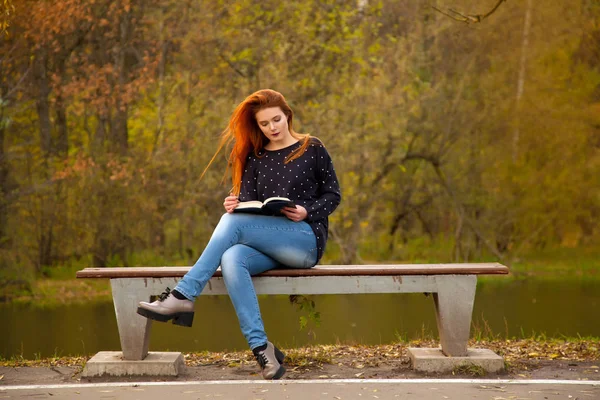 Menina ruiva bonita vestindo camisola bonito posando com um livro no parque sozinho — Fotografia de Stock