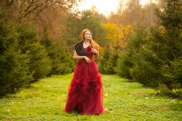 Piękne młode Rude dziewczyny sobie długie czerwone suknie wieczorowe i spacery w parku drzewa jodły sam — Zdjęcie stockowe