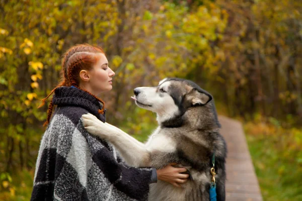 Bella donna con i capelli rossi in viaggio con il suo enorme cane Malamute — Foto Stock